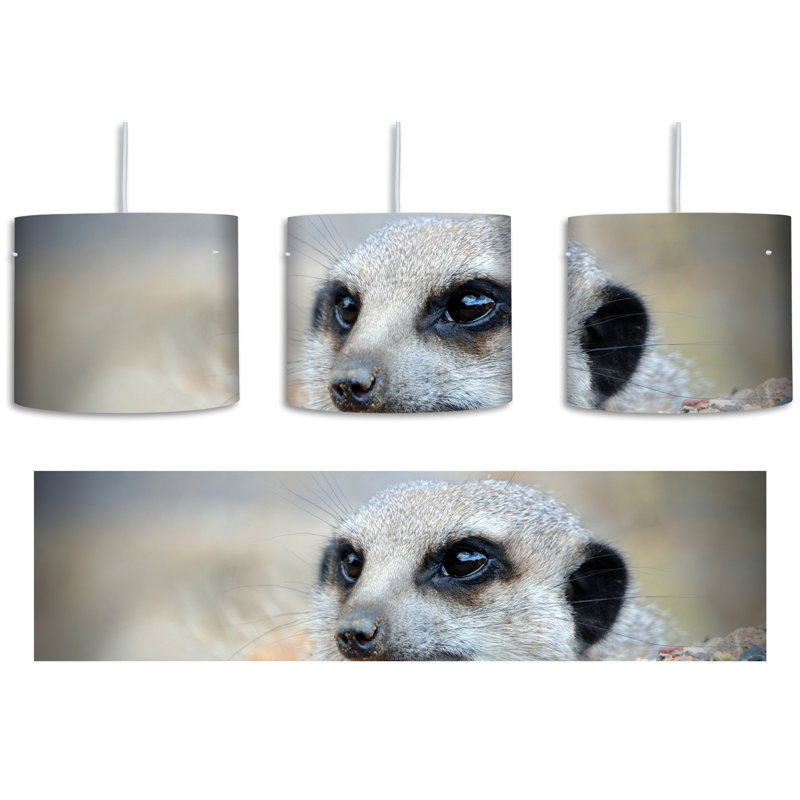 East Urban Home Trommel-Pendelleuchte 1-flammig Ausgewachsenes